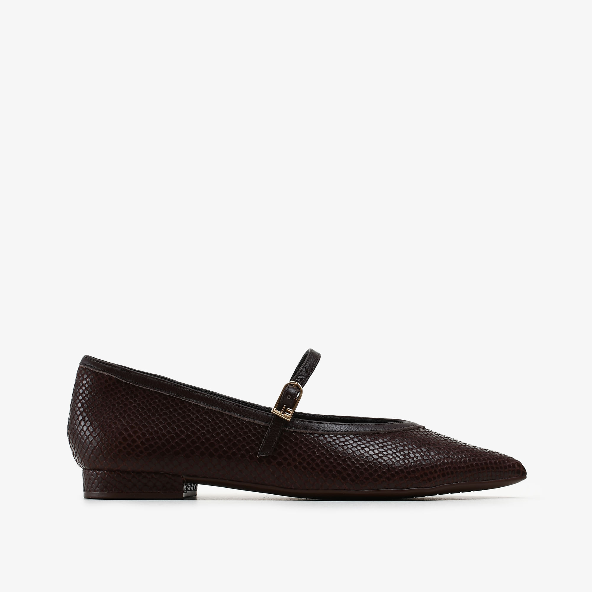 Sapatilha Marrom Terroir Couro Snake